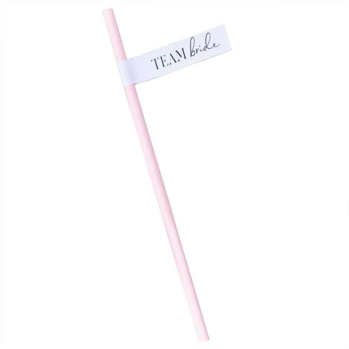 Straws | Hens Night Team Bride Future Mrs Straws 19Cm 16 Pk Cups Glasses Drink Acc Straws